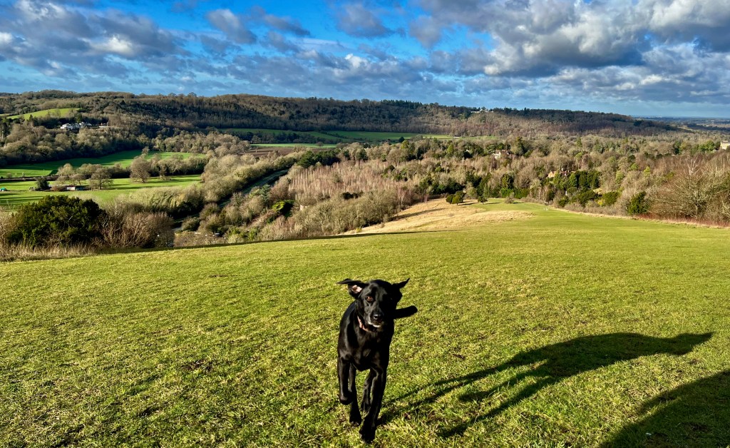 Making Mole hills out of Mountains: the formation of the Mole and the&nbsp;Weald