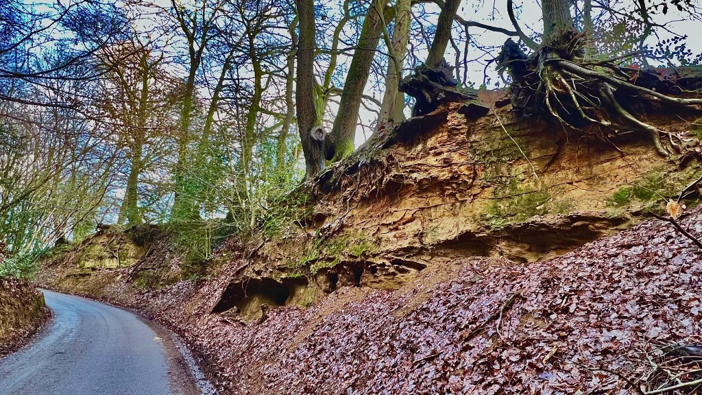 Making Mole Hills out of Mountains. Part 2: The Mesozoic&nbsp;Trough