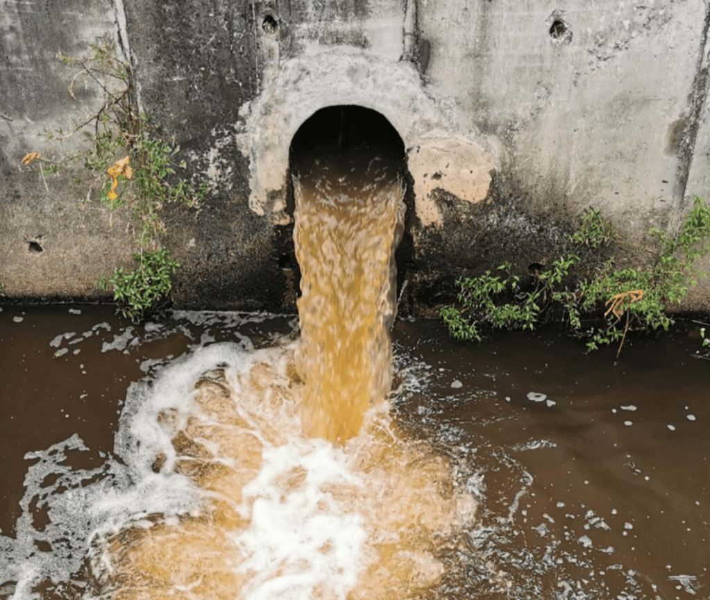 Lords Almighty! Causes of storm overflows, solutions to pollution and securing a future sustainable water&nbsp;supply.